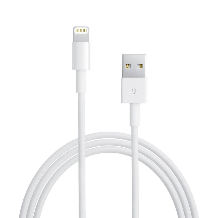 iPhone Lightning Charging Cable - 3.3 ft